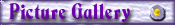 Picture Gallery
